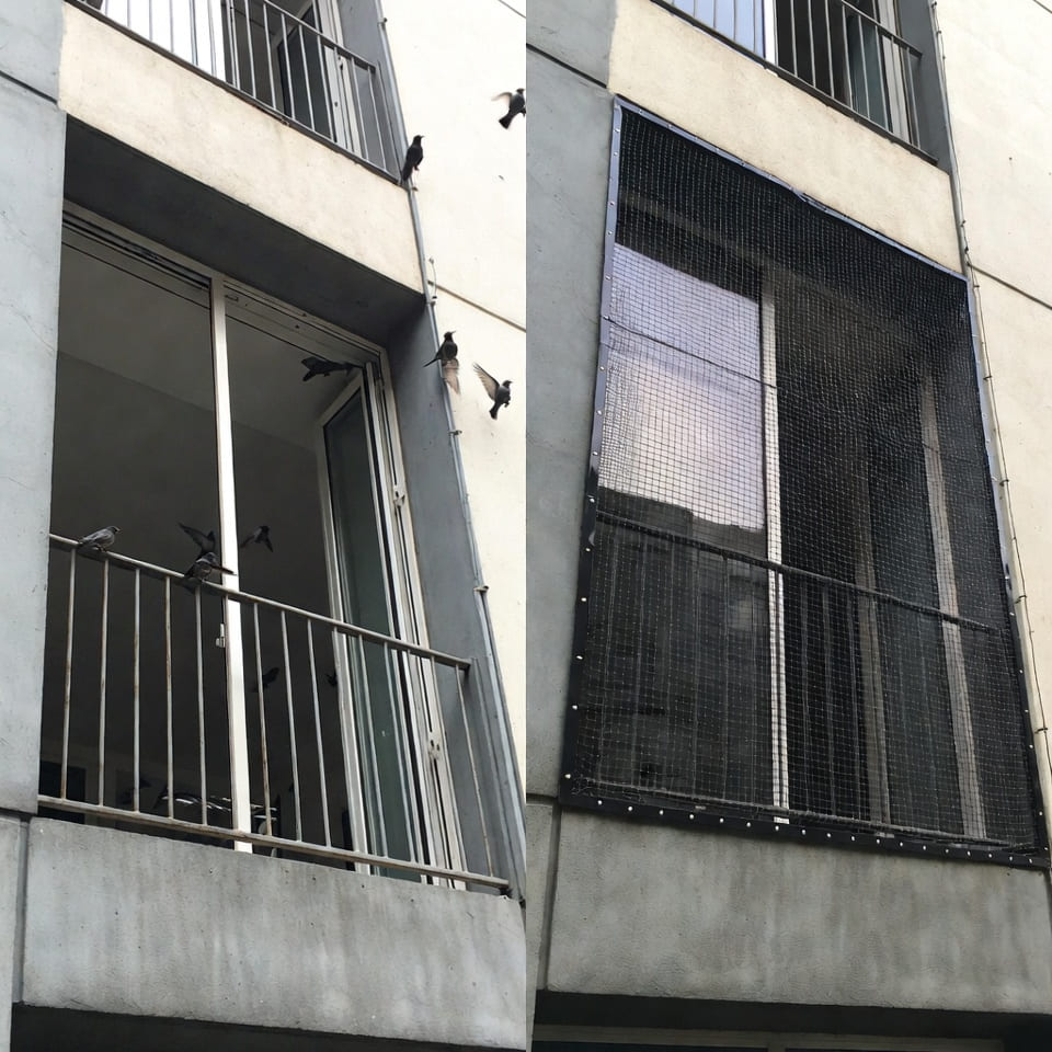 Pigeon Net Installation 1 Pigeon Net Installation Service Kathmandu